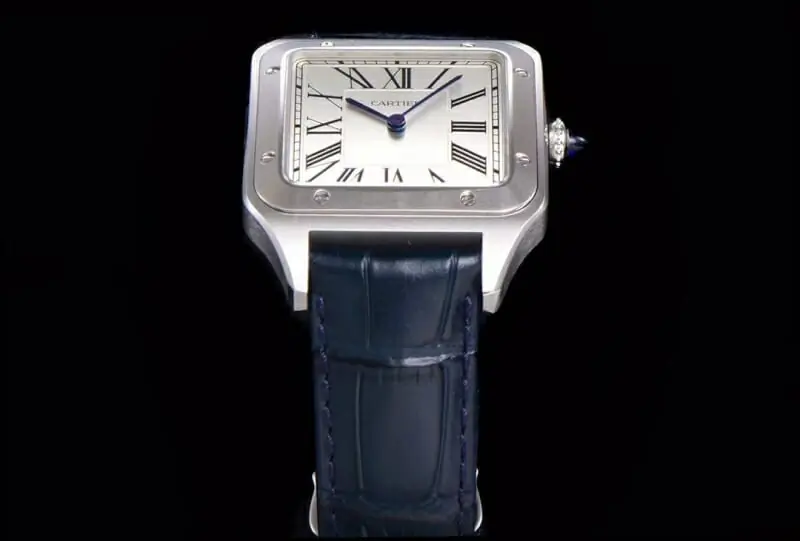 cartier aaa qualite montres s_10201551